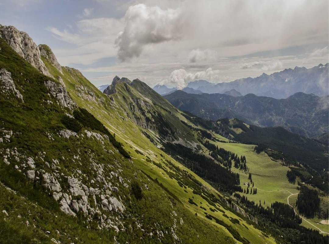 The Tattooing Process: What to Expect