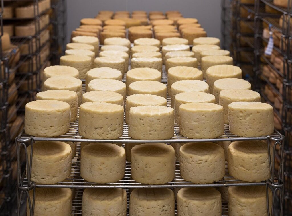 artisan cheesemakers