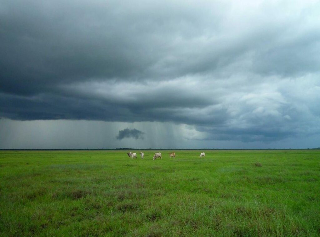 discoveryplus.com/samsung