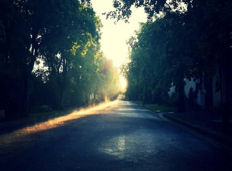 geandra bazzanella biografía