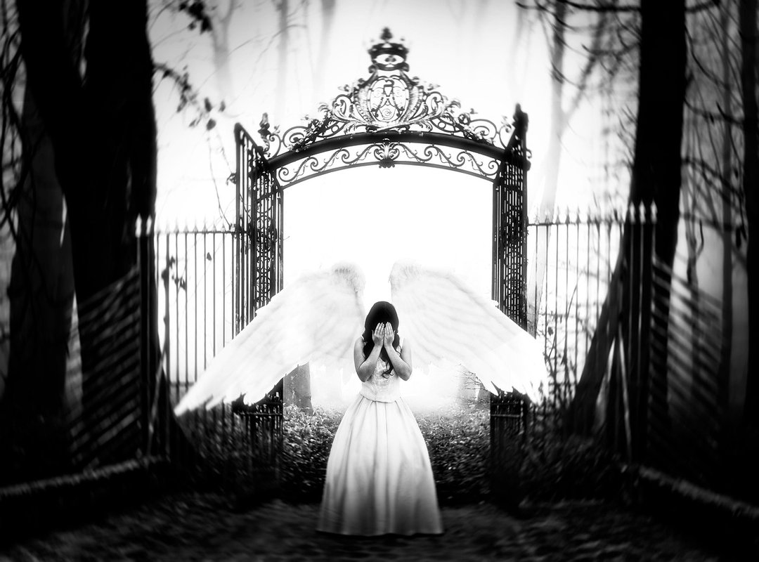 Fact or Fiction? Assessing the Leak's Credibility