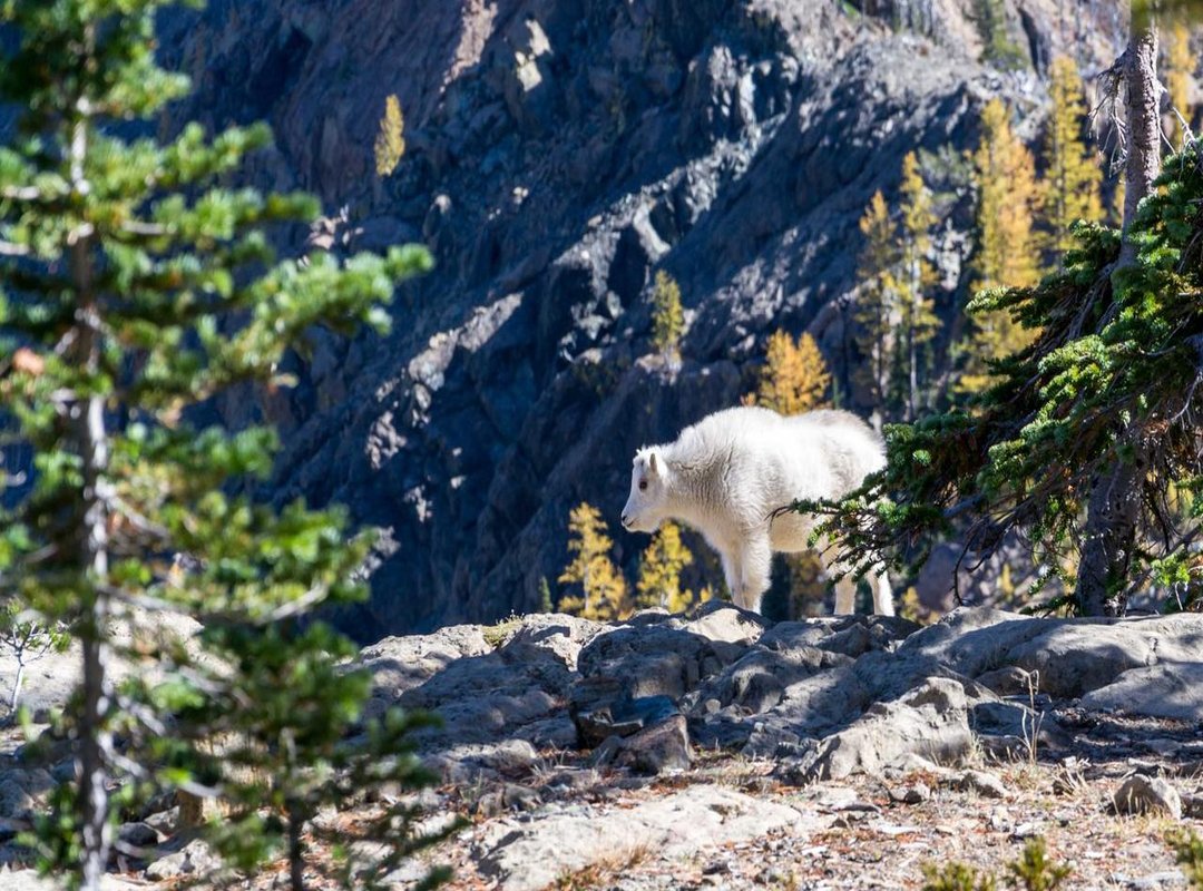 The Modern Era: Intricate Details and Cultural Storytelling