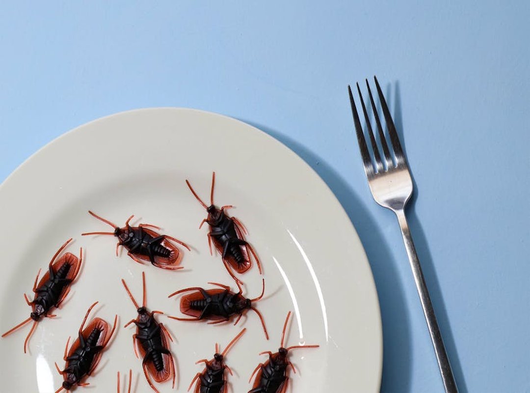 Weird Food Names Zavagouda