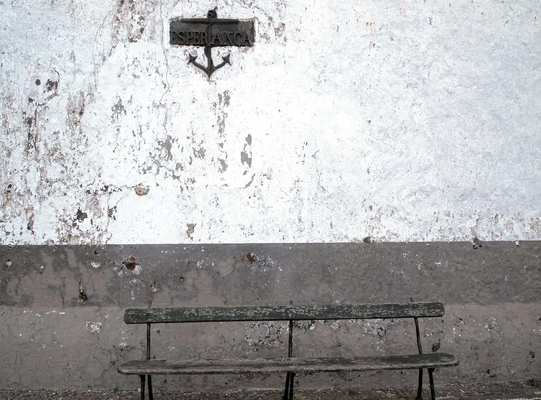 Comparing Top Woll Wallpapers: Pros and Cons